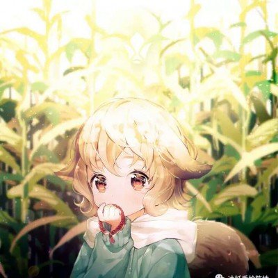 何炅躲过了所有路透